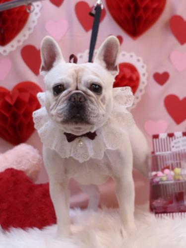 20240202ブーくん